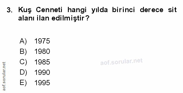 Soru 3