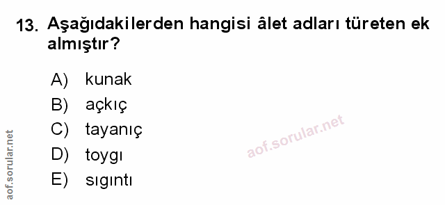 Soru 13