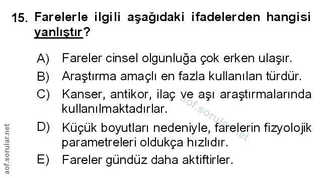 Soru 15