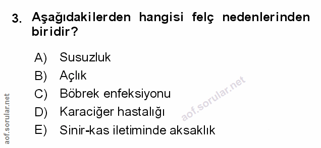 Soru 3