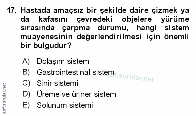 Soru 17