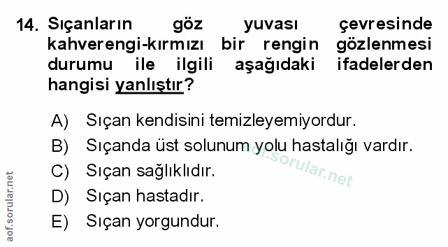 Soru 14