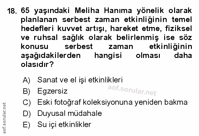 Soru 18