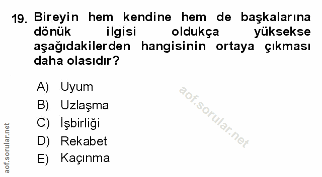 Soru 19