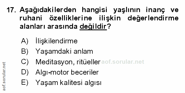 Soru 17