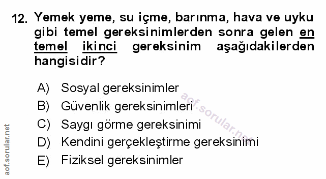 Soru 12