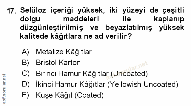 Soru 17