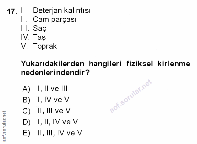 Soru 17