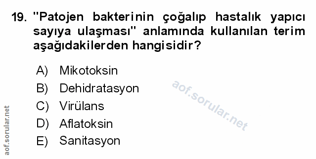 Soru 19