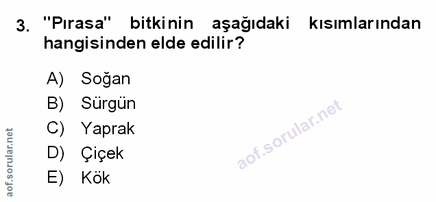 Soru 3