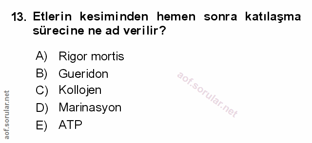 Soru 13