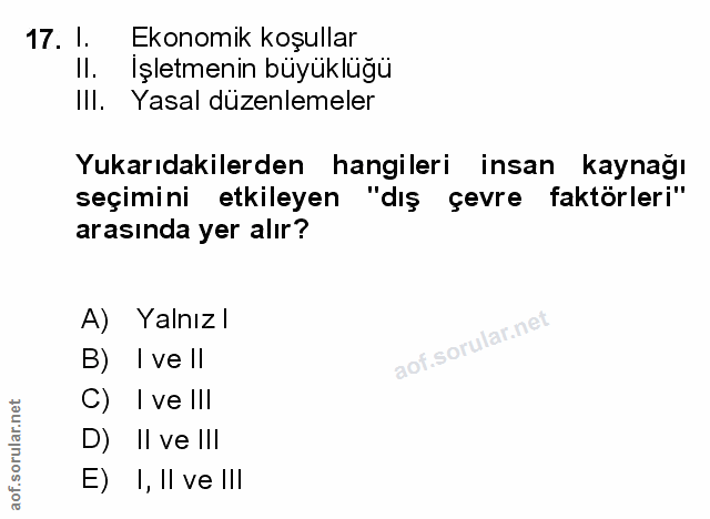 Soru 17