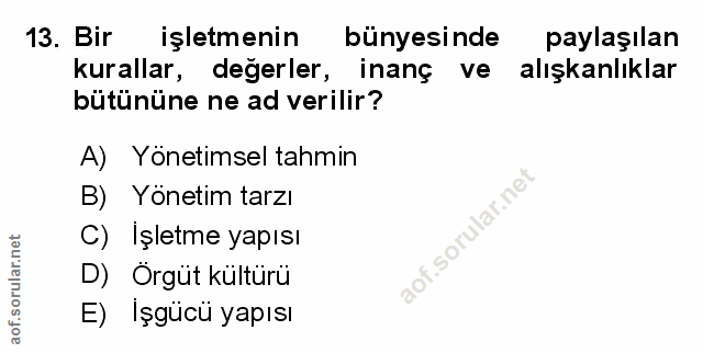 Soru 13