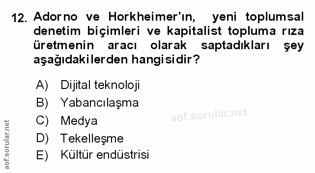Soru 12