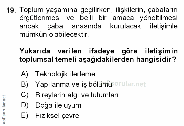 Soru 19