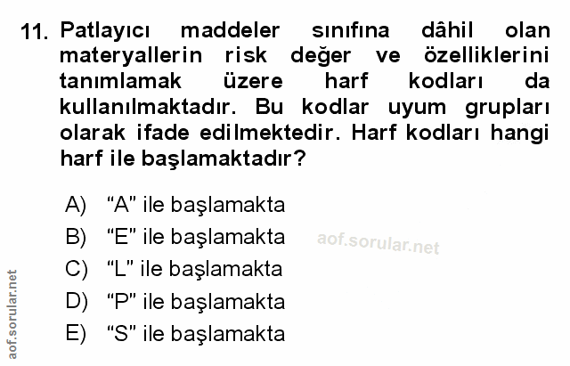 Soru 11