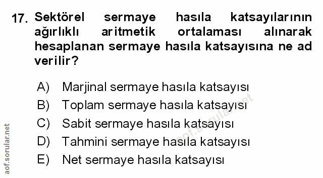 Soru 17