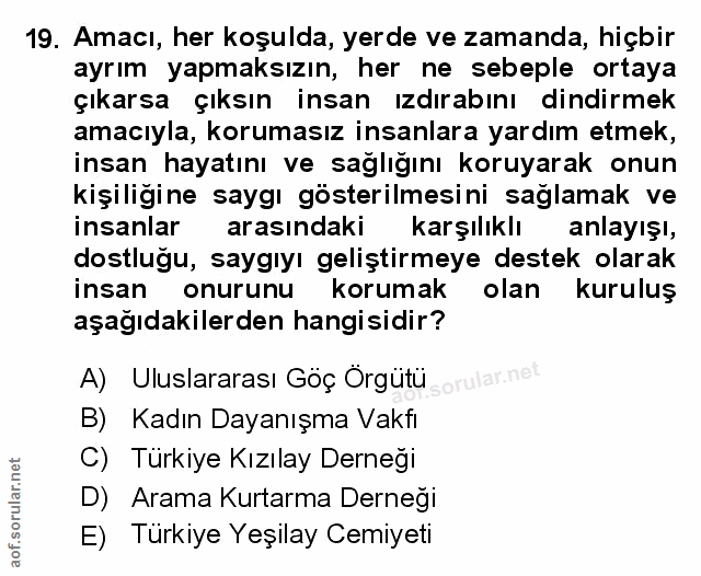 Soru 19