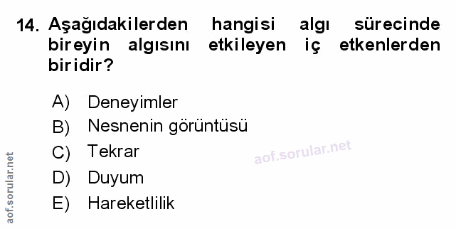 Soru 14