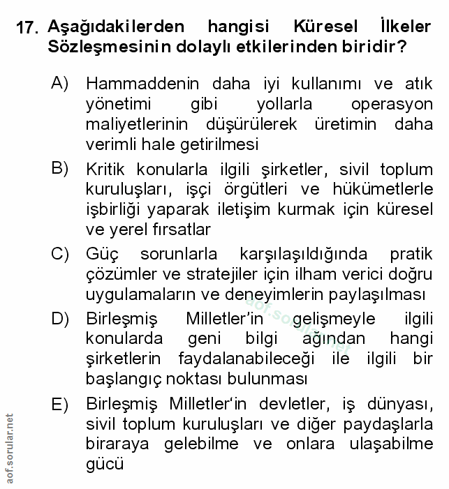 Soru 17