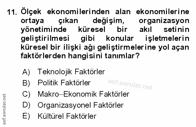 Soru 11
