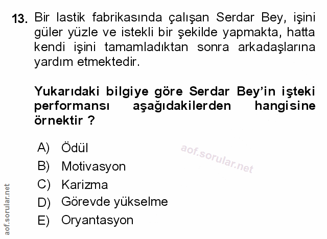 Soru 13