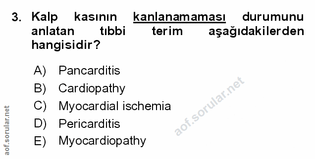 Soru 3