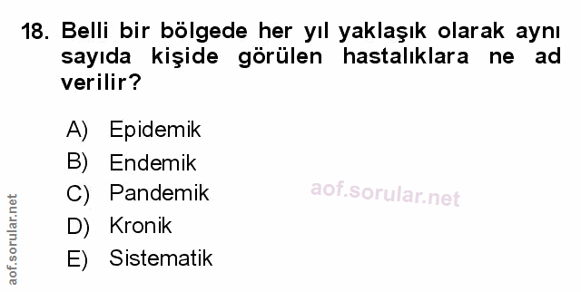 Soru 18