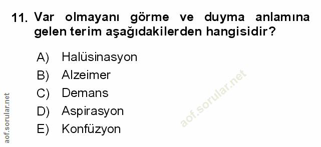 Soru 11