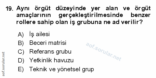 Soru 19