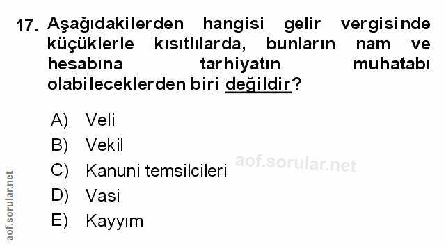 Soru 17