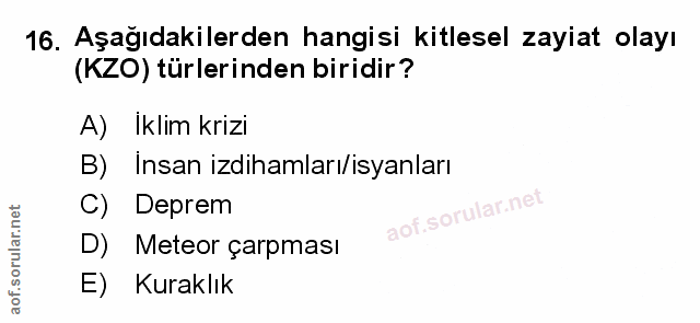 Soru 16
