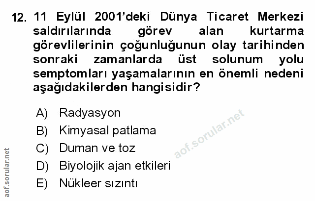 Soru 12