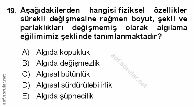 Soru 19