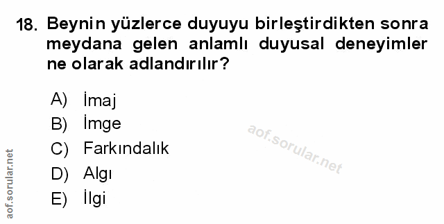 Soru 18