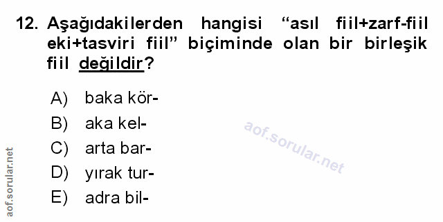 Soru 12
