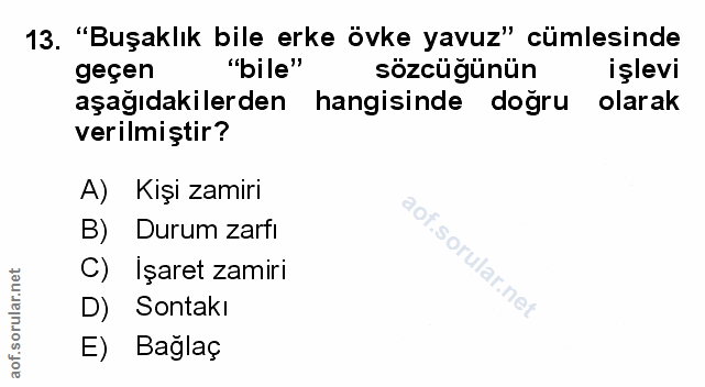 Soru 13
