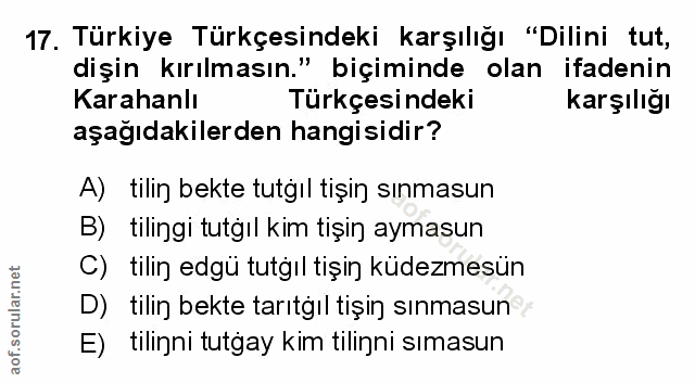 Soru 17