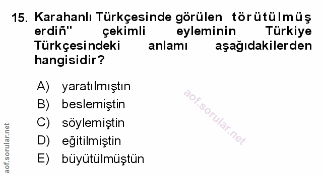 Soru 15