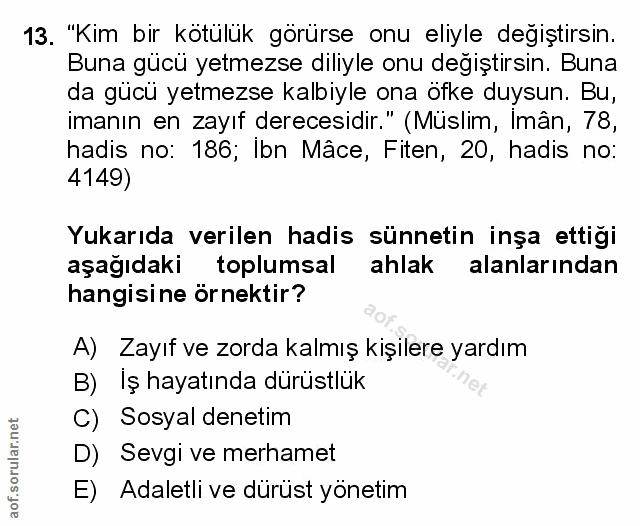 Soru 13