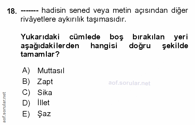 Soru 18