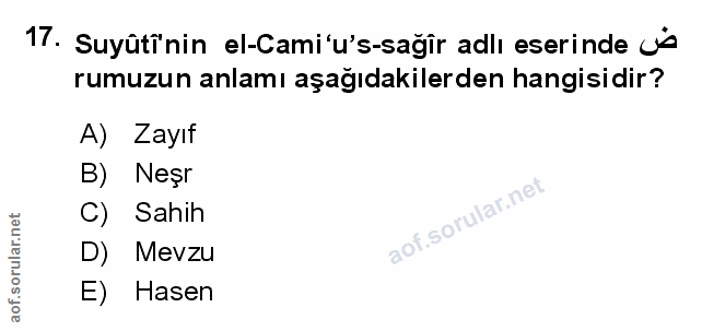 Soru 17
