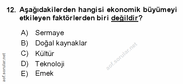 Soru 12
