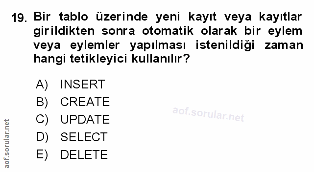 Soru 19