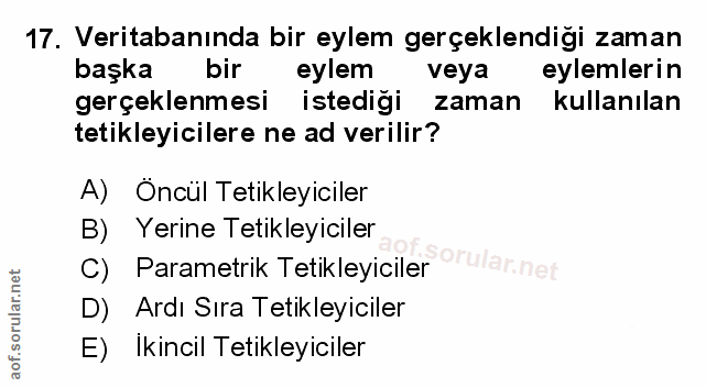 Soru 17