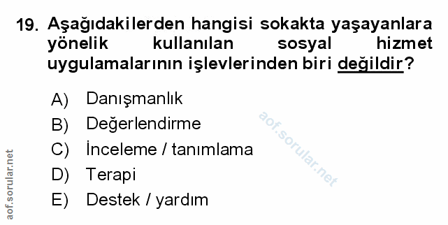 Soru 19