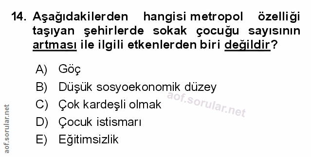 Soru 14