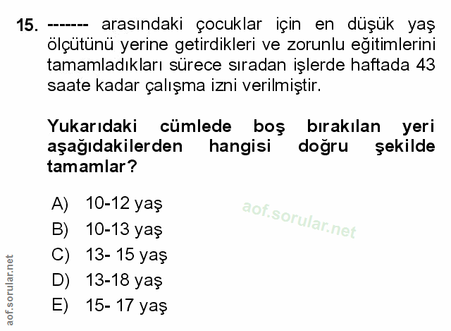 Soru 15