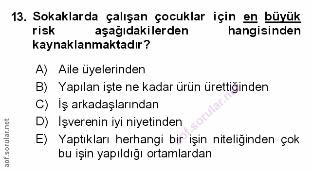 Soru 13