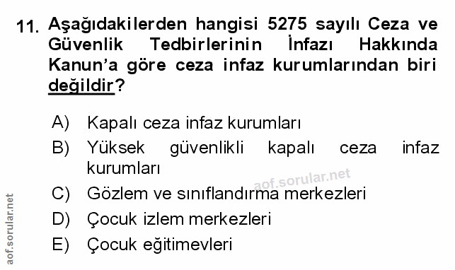 Soru 11